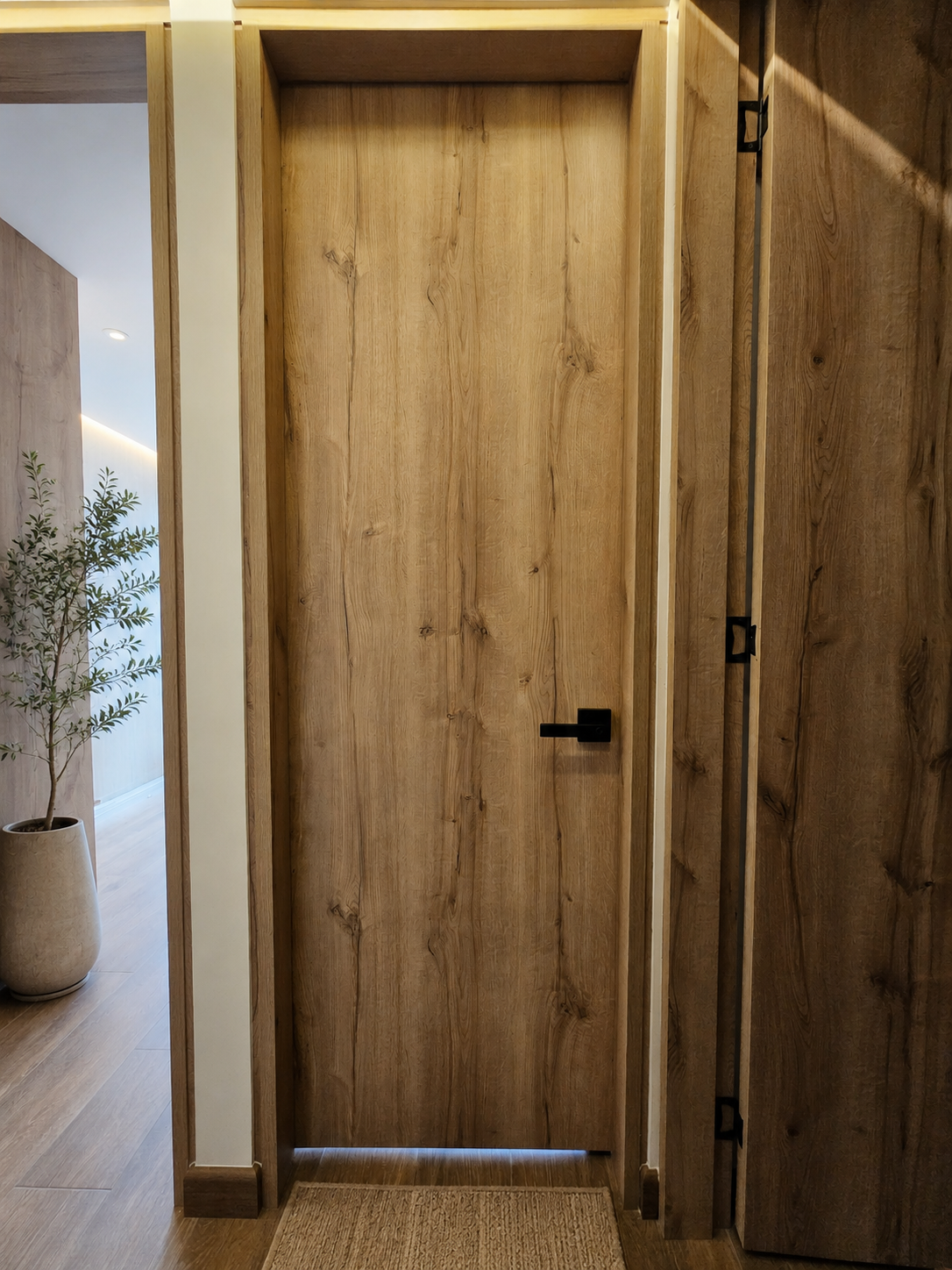 Pasillo y circulación — Circulación interior con continuidad…